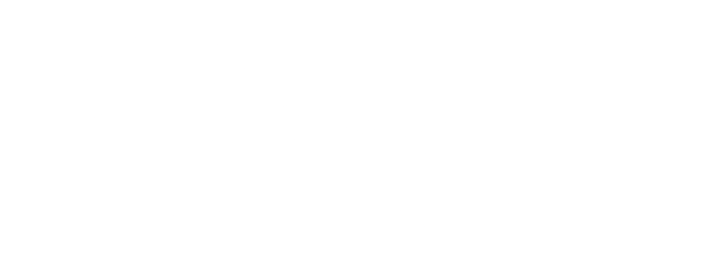 11hz logo